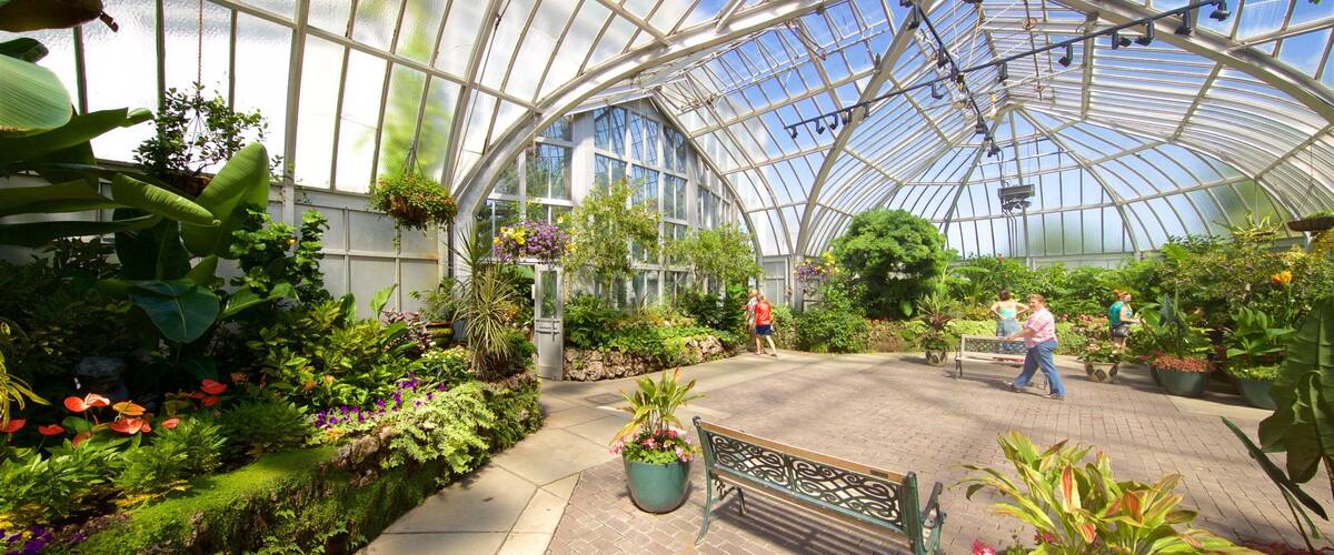 Anna Scripps Whitcomb Conservatory which includes a park and interior views