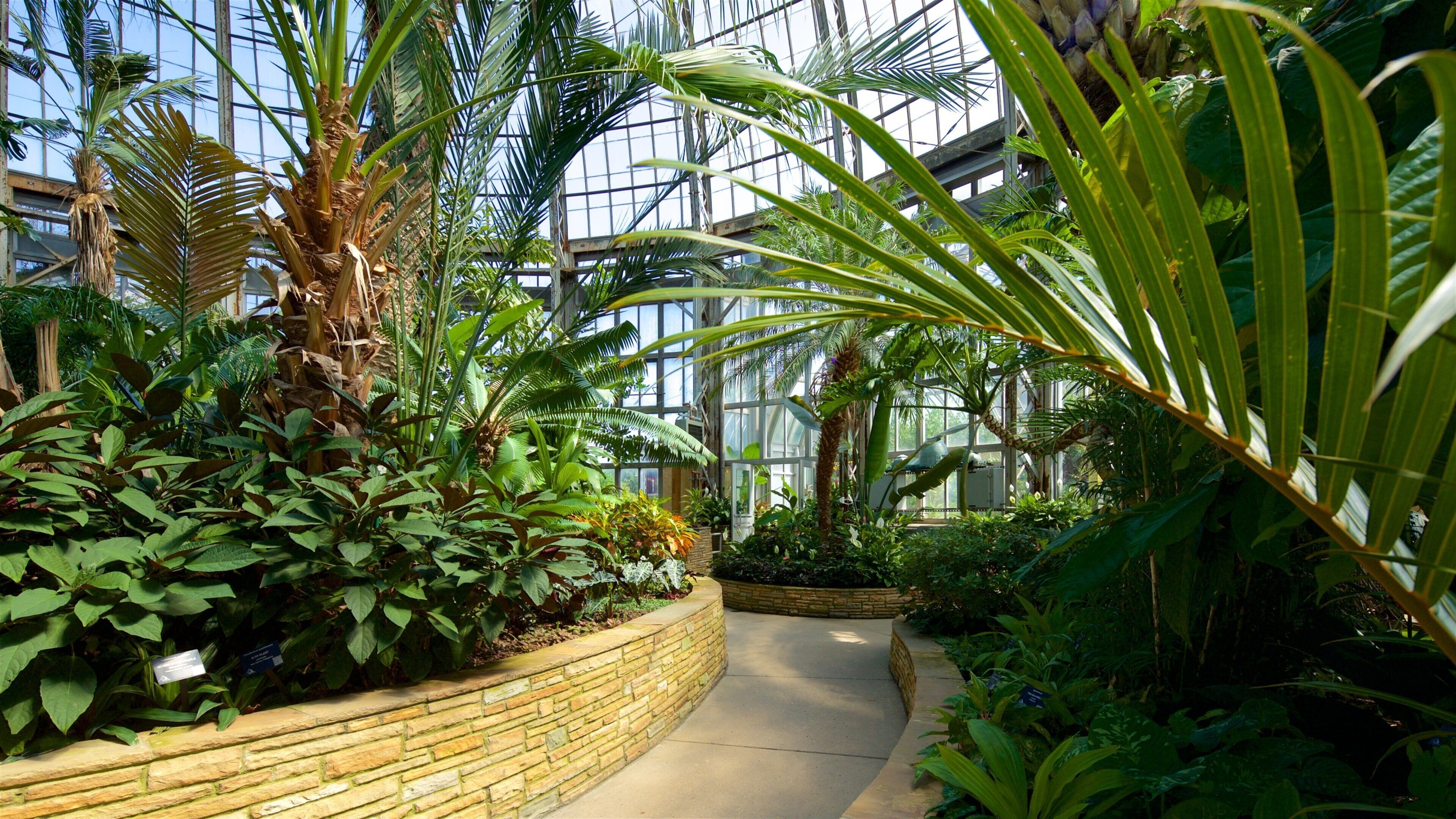 Natuurreservaat Anna Scripps Whitcomb inclusief een tuin en interieur