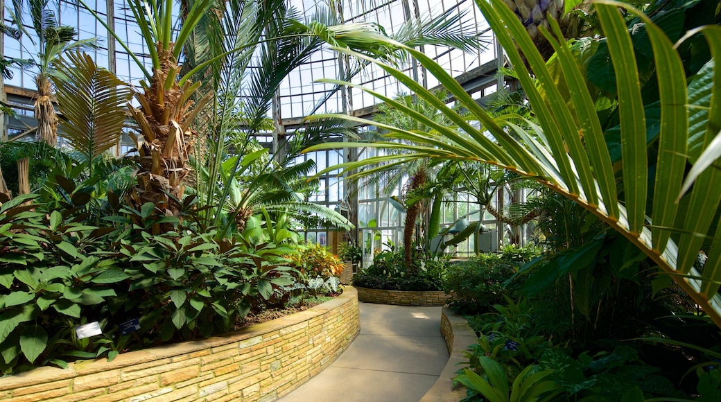 Natuurreservaat Anna Scripps Whitcomb inclusief een tuin en interieur