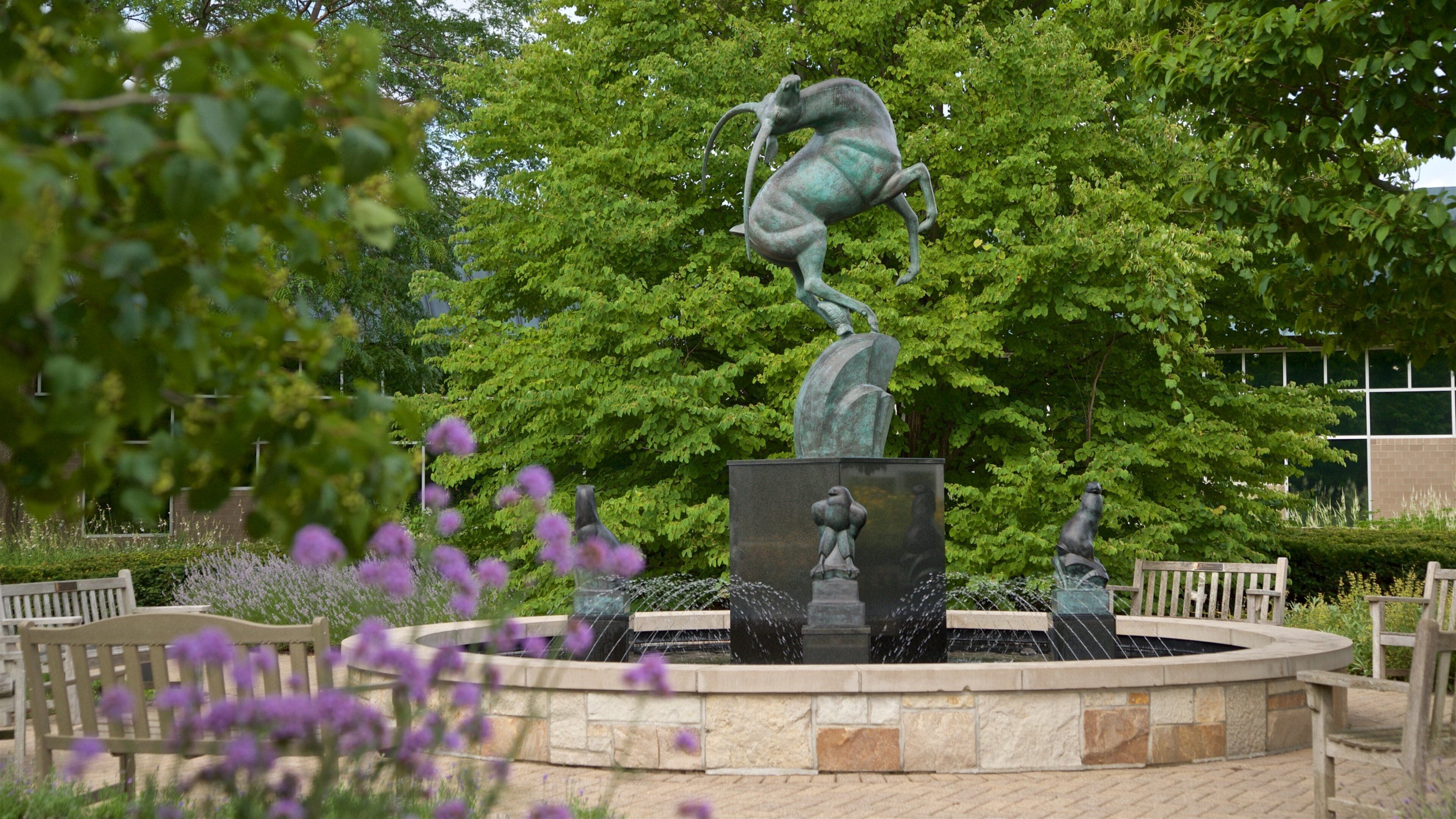 Frederik Meijer Gardens & Sculpture Park which includes a fountain and wildflowers