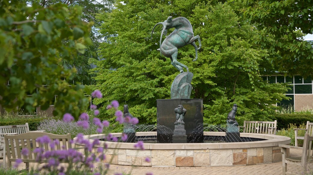 Frederik Meijer Gardens & Sculpture Park which includes a fountain and wildflowers
