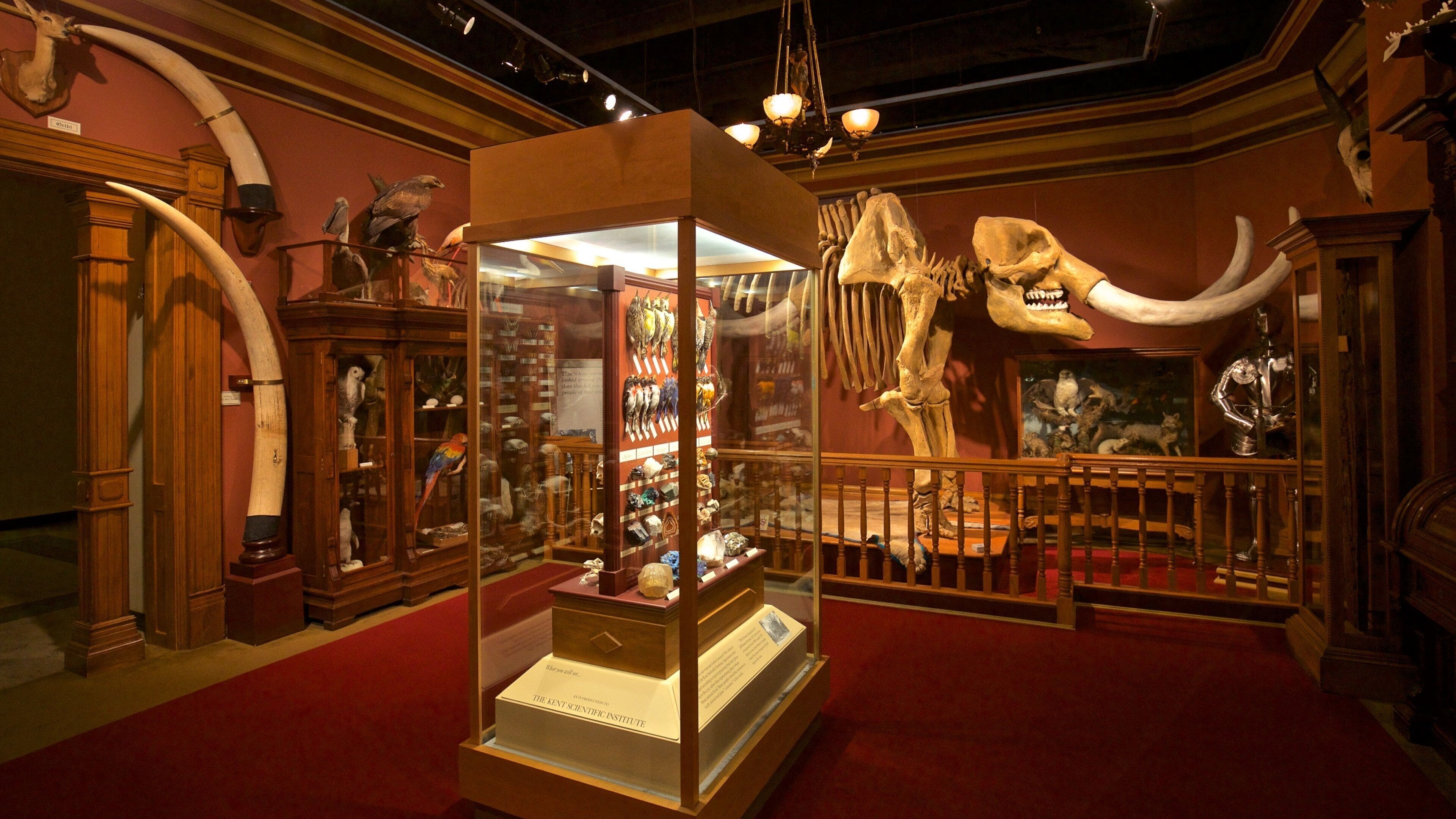 Van Andel Museum Center mettant en vedette scènes intérieures