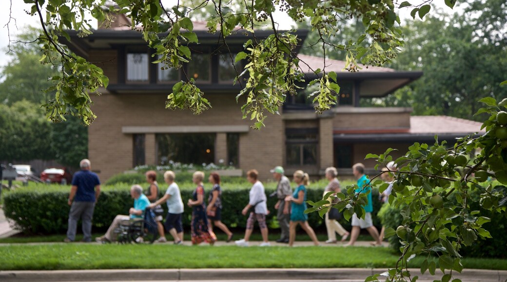 Meyer May House showing street scenes as well as a small group of people