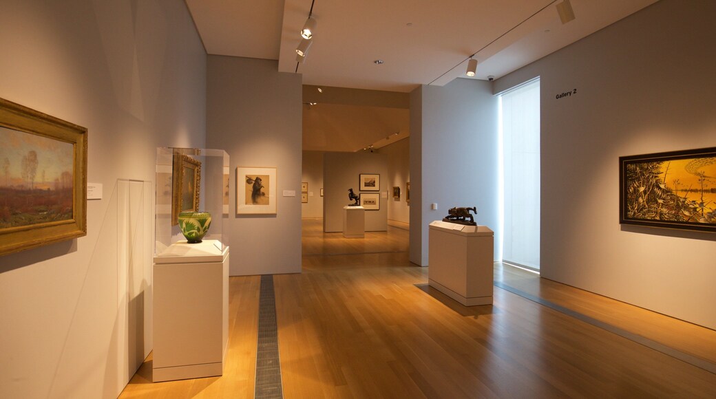 Grand Rapids Art Museum caratteristiche di vista interna e arte