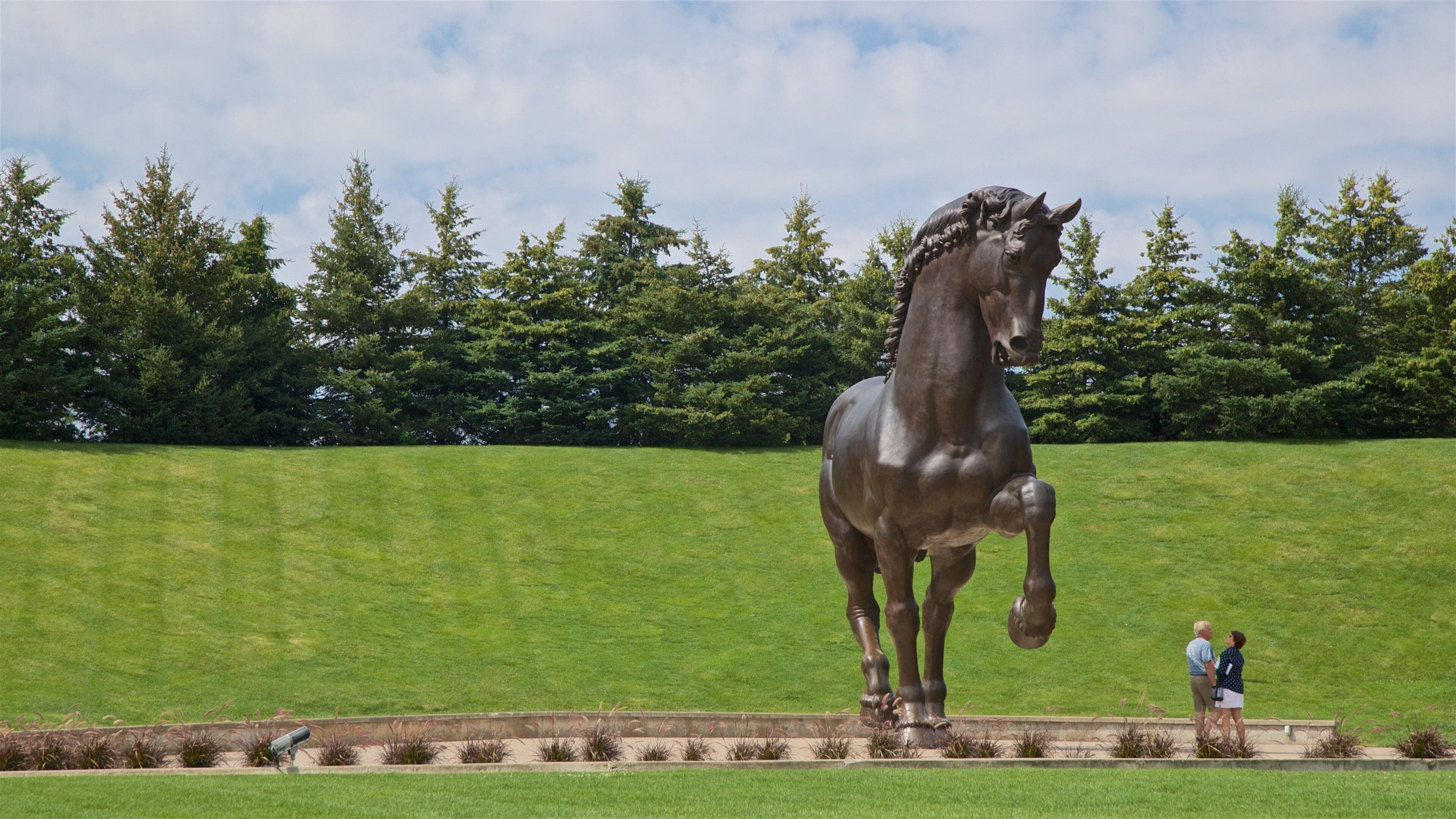 Leonardo da Vinci\'s Horse which includes outdoor art, a statue or sculpture and a park