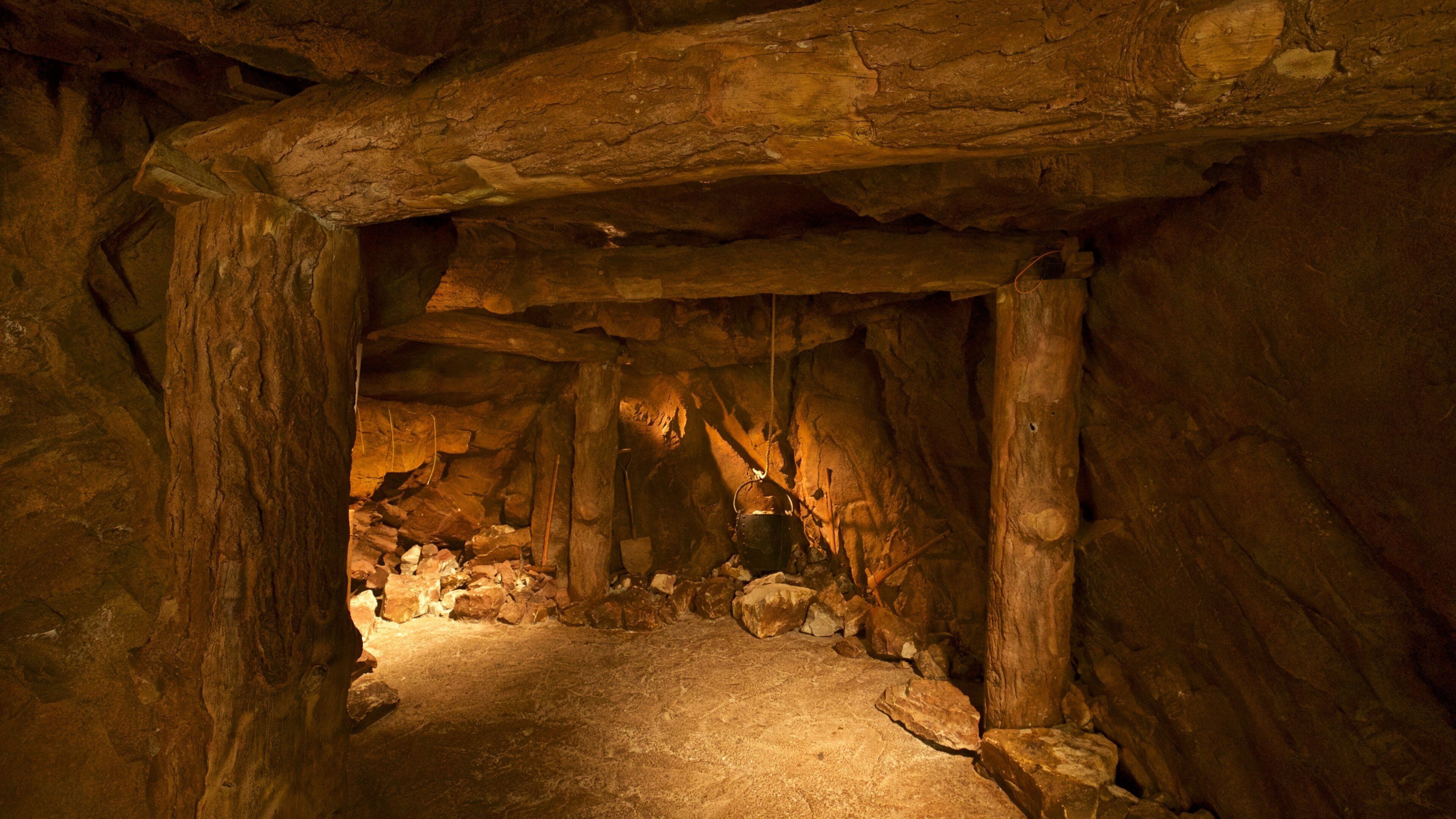 Michigan Historical Museum qui includes vues intérieures