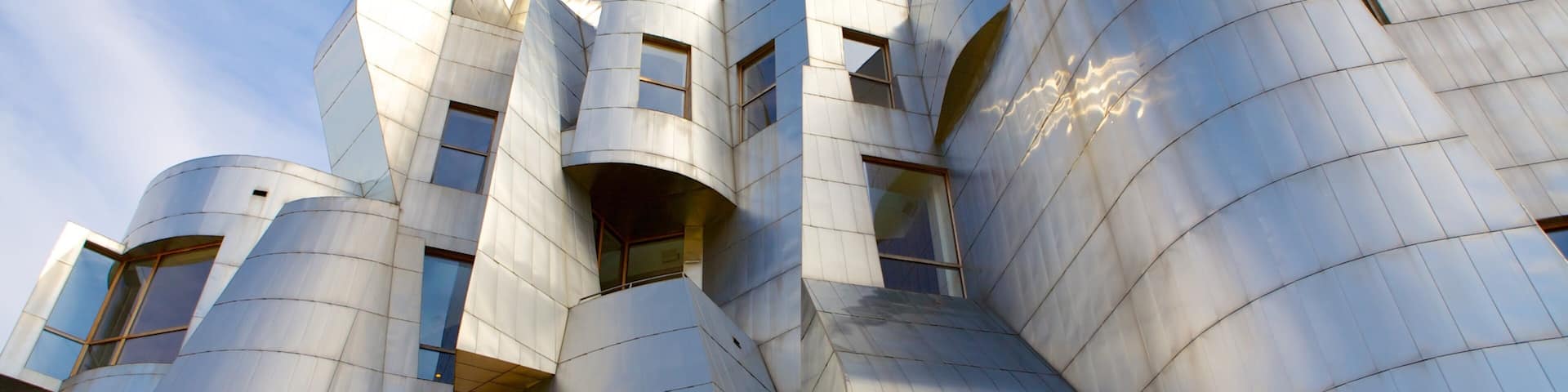 Weisman Art Museum mostrando una ciudad