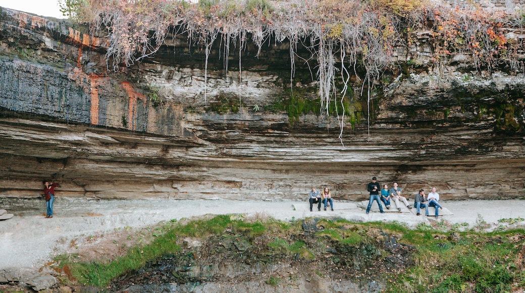 Minnehaha Park featuring mountains as well as a small group of people