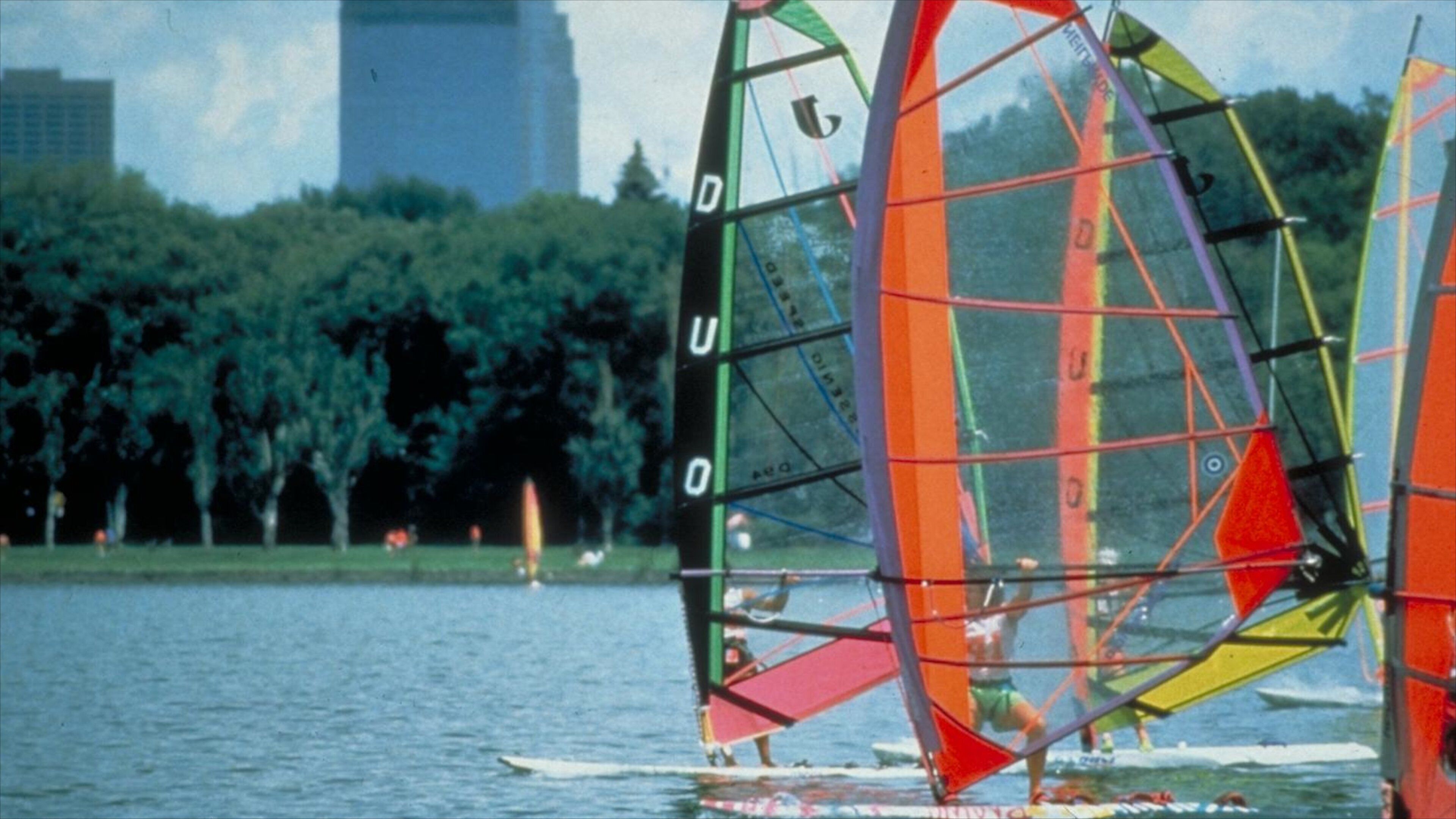 Lake Calhoun showing windsurfing, landscape views and a sporting event
