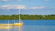 Un lago tranquilo con un velero amarillo amarrado en el muelle, rodeado de frondosos árboles verdes y un cielo azul despejado.