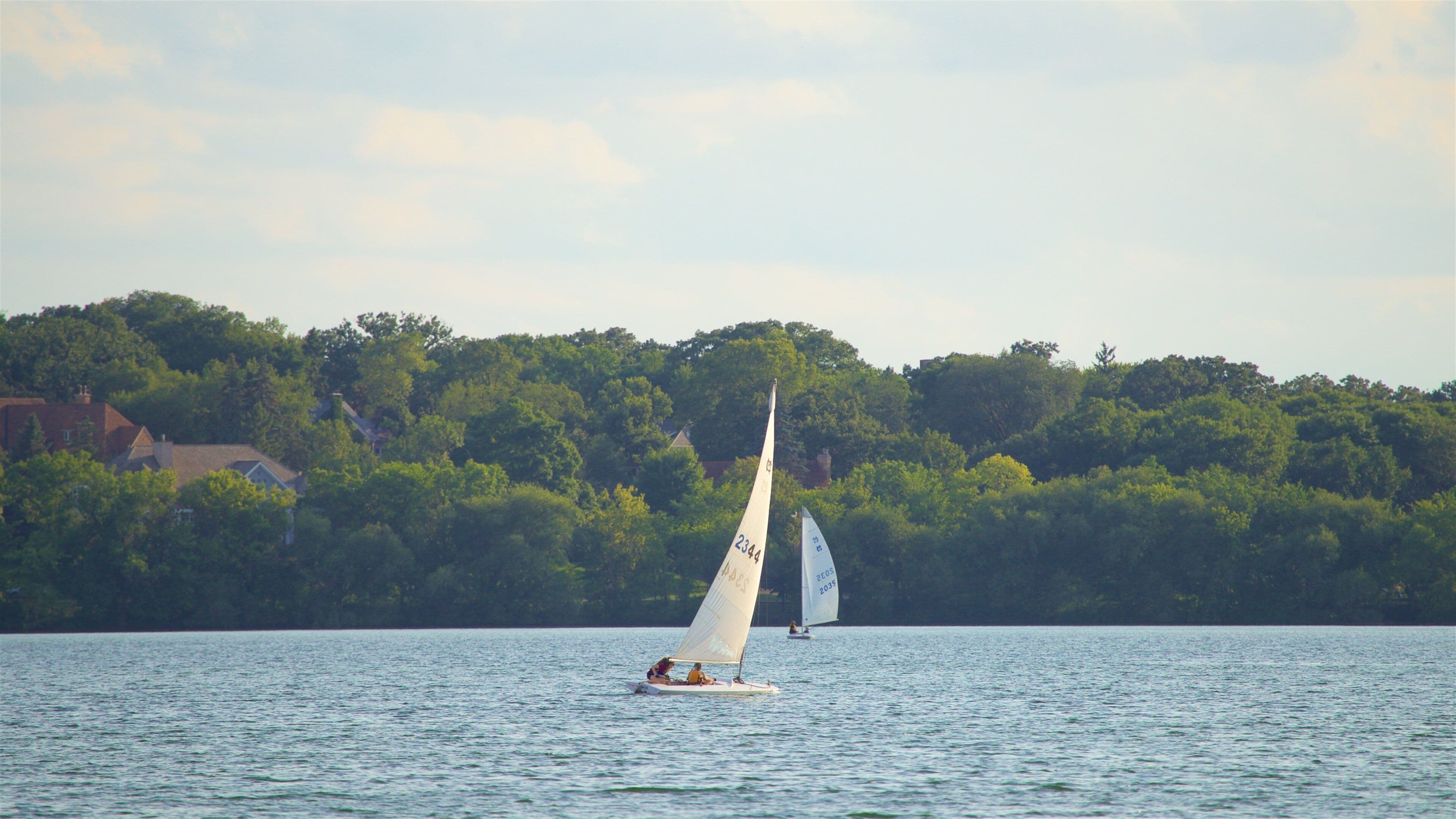 A sailboat on calm water with a forested shoreline in the background.