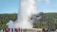 Old Faithful