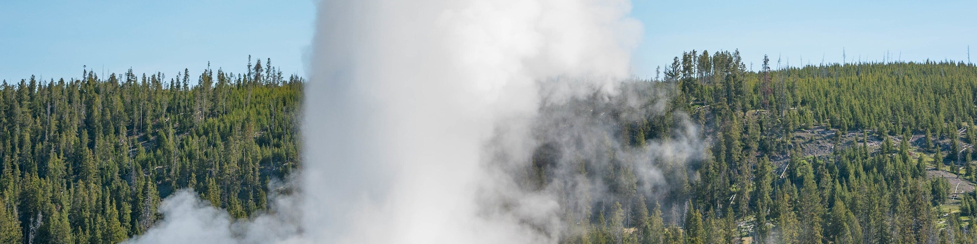 Old Faithful