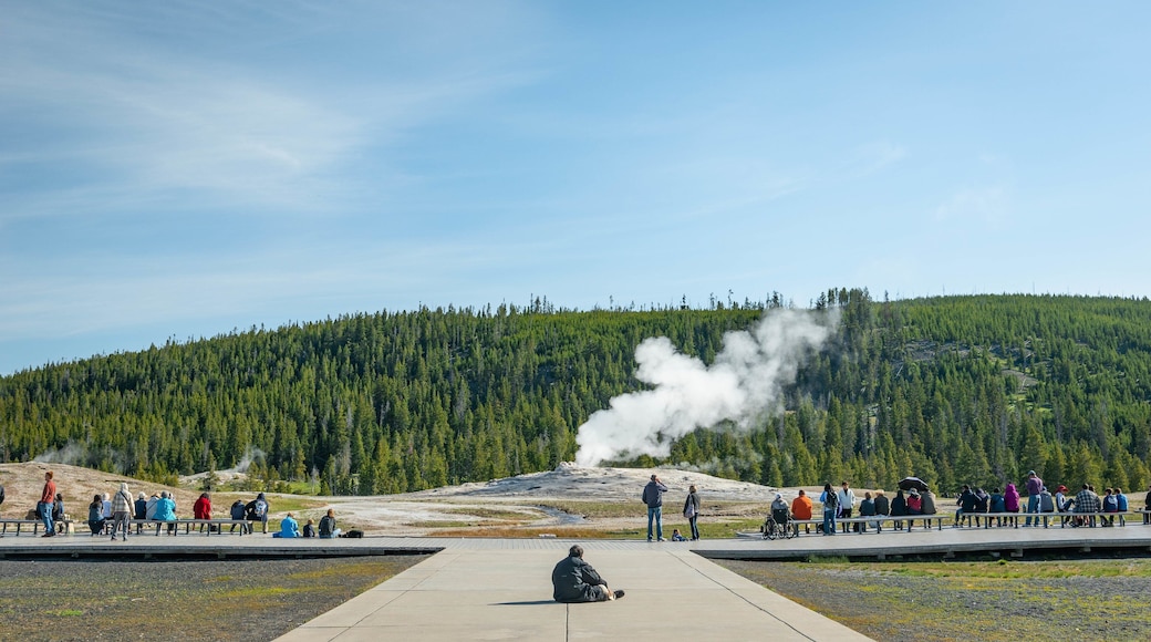 Old Faithful which includes a hot spring and mist or fog as well as a large group of people