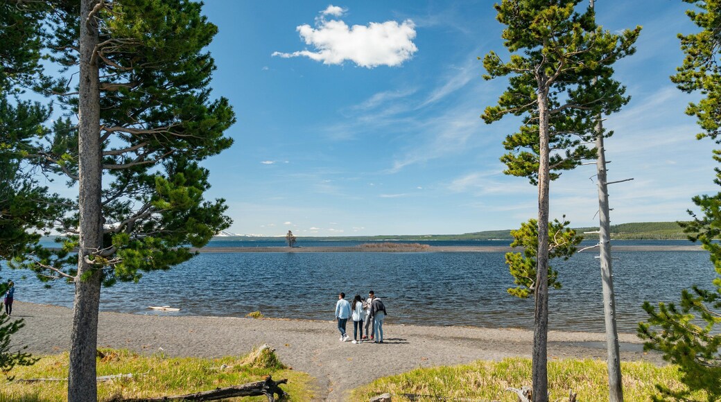 Yellowstone Lake which includes a lake or waterhole as well as a small group of people