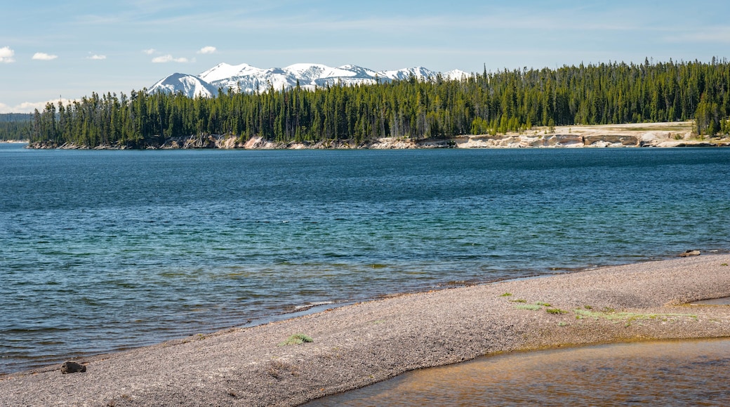 Yellowstone Lake showing a lake or waterhole