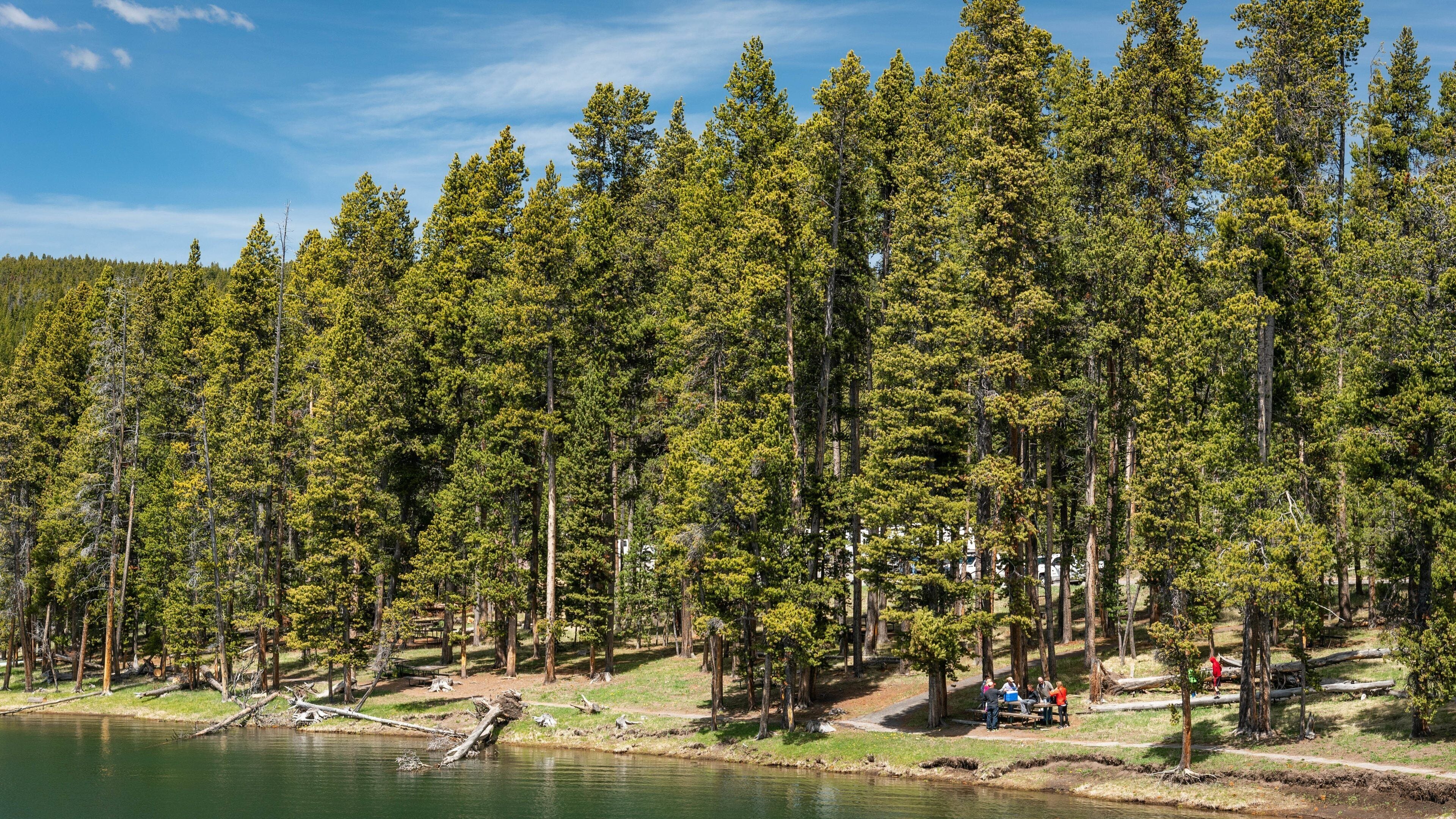 Yellowstone Lake which includes a garden, heritage architecture and forests