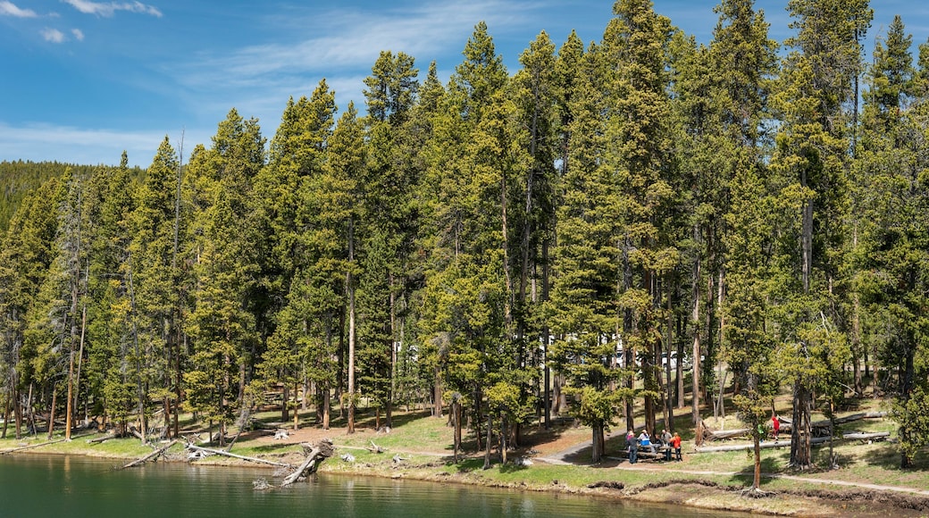 Yellowstone Lake which includes a garden, heritage architecture and forests