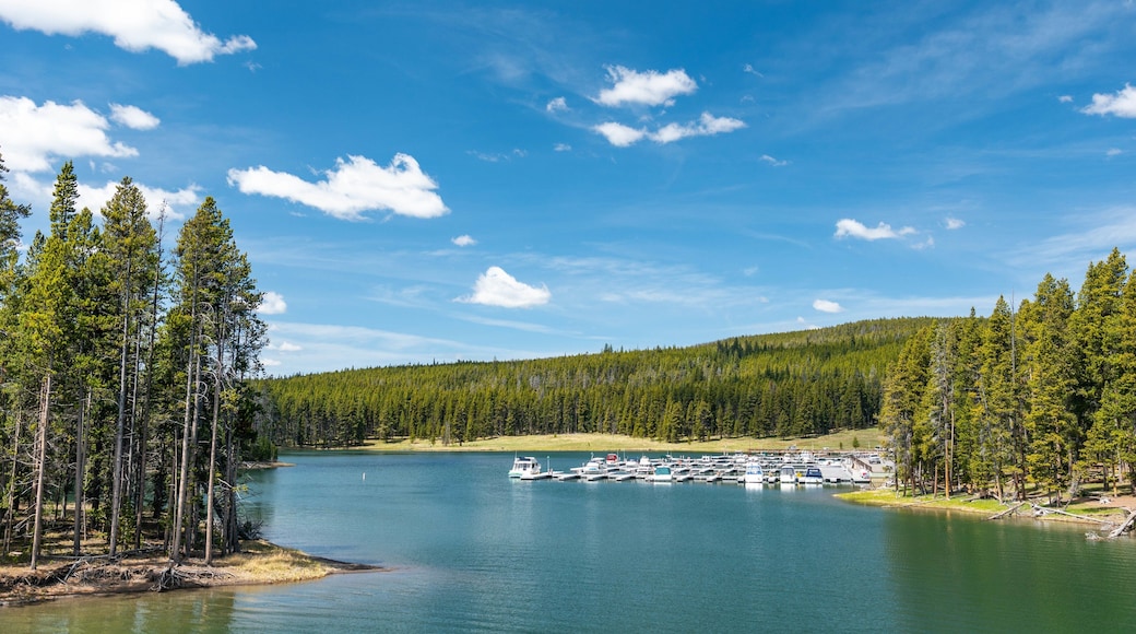 Yellowstone Lake which includes a lake or waterhole