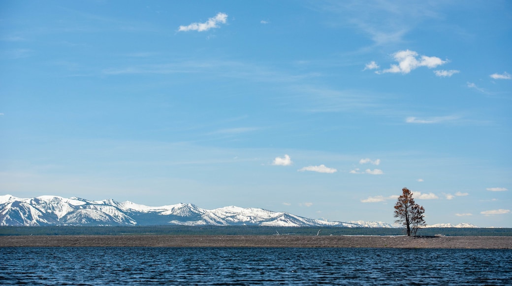 Yellowstone Lake which includes snow, a lake or waterhole and landscape views