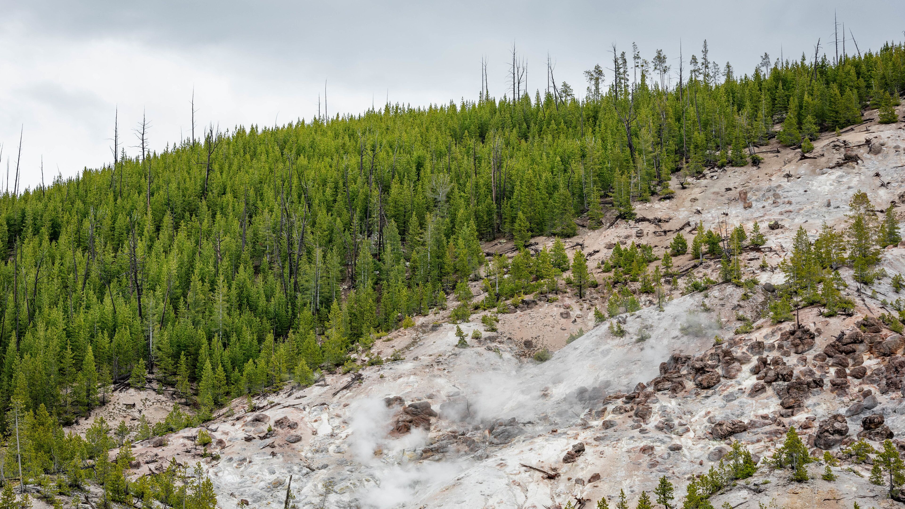 Roaring Mountain featuring a river or creek and tranquil scenes