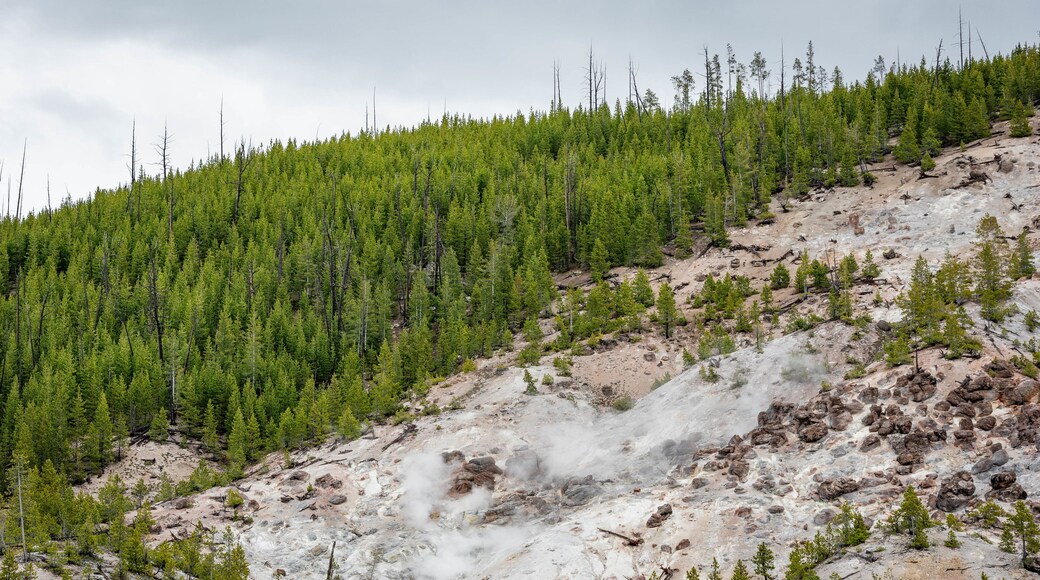 Roaring Mountain featuring a river or creek and tranquil scenes