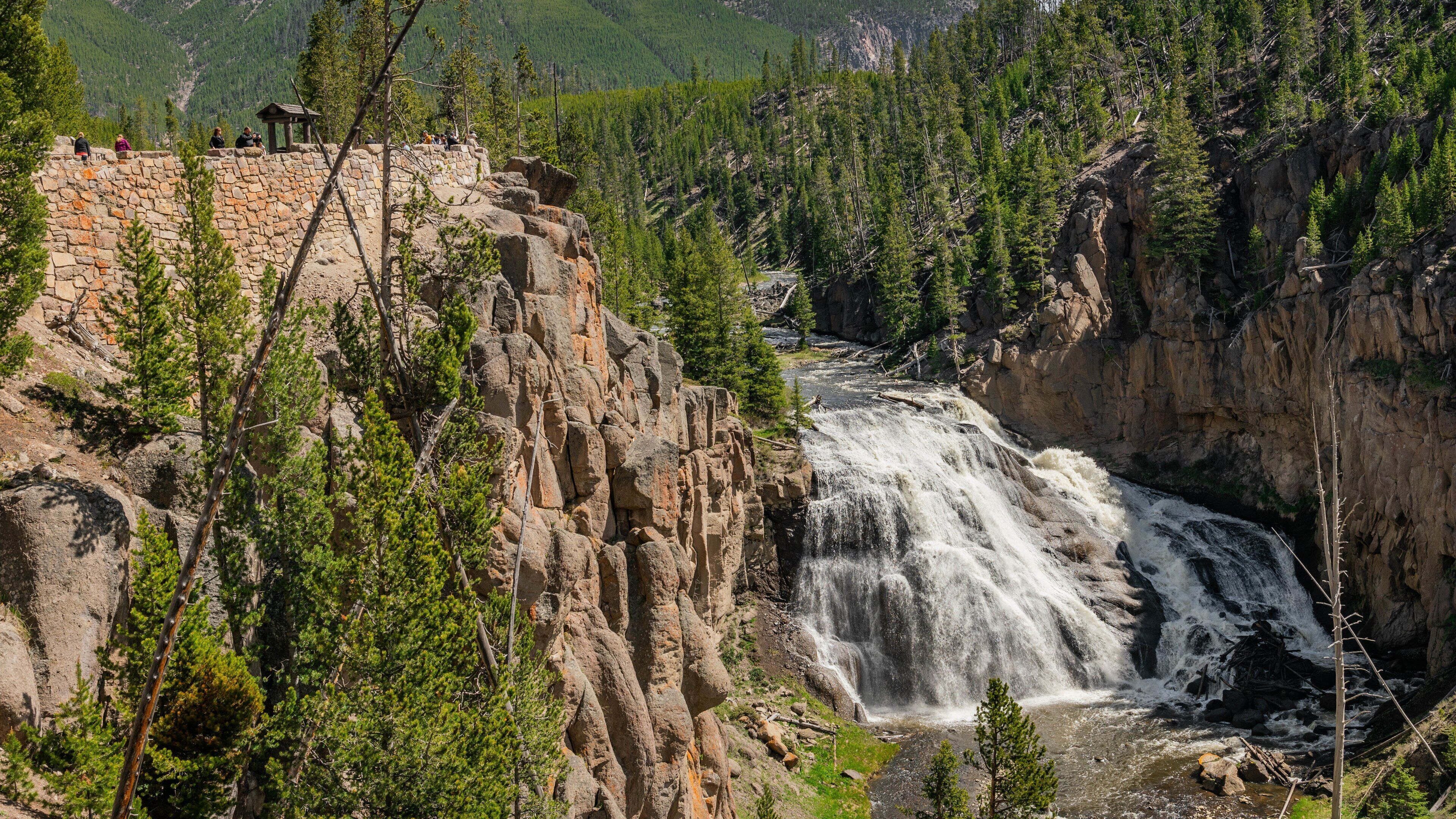 Gibbon Falls showing a gorge or canyon, rapids and a river or creek