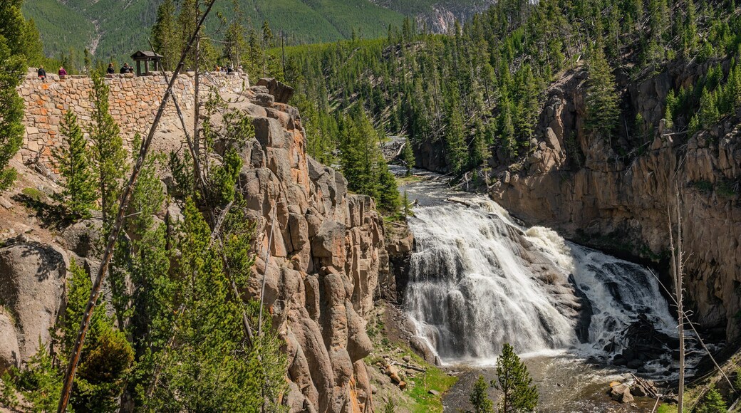 Gibbon Falls showing a gorge or canyon, rapids and a river or creek