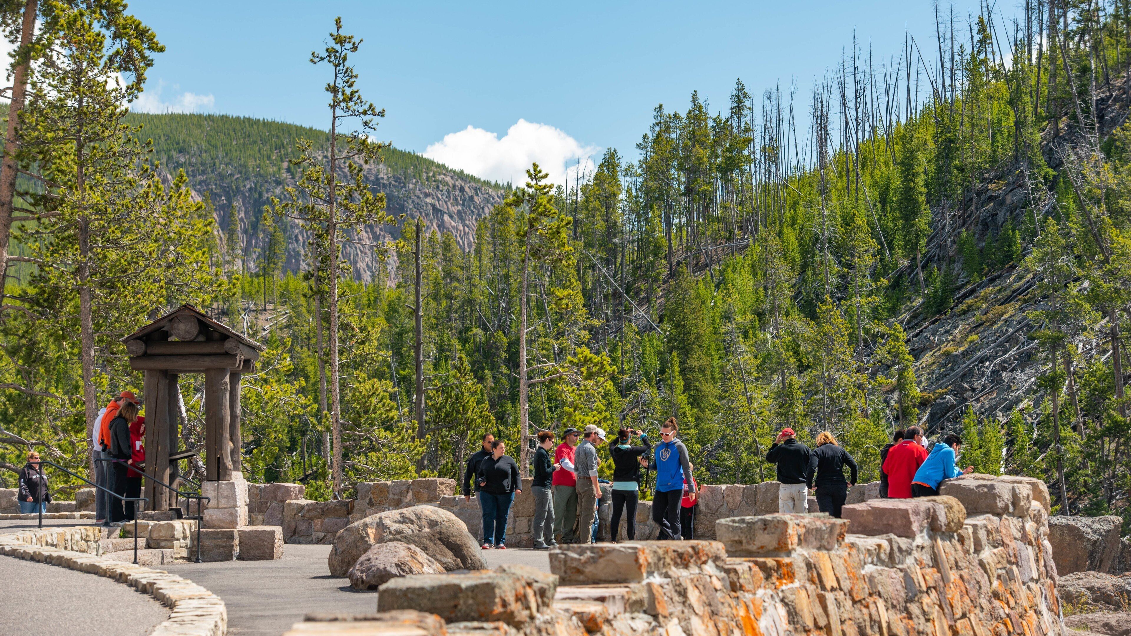Gibbon Falls featuring tranquil scenes and views as well as a small group of people