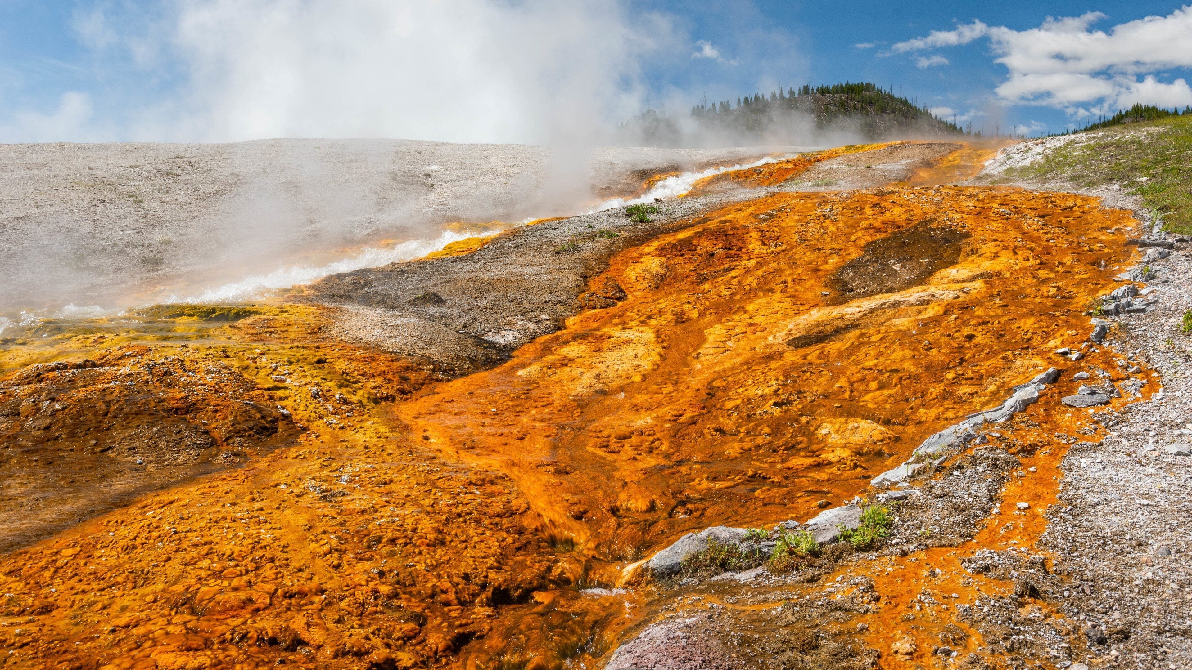 Grand Prismatic Spring showing a hot spring and mist or fog