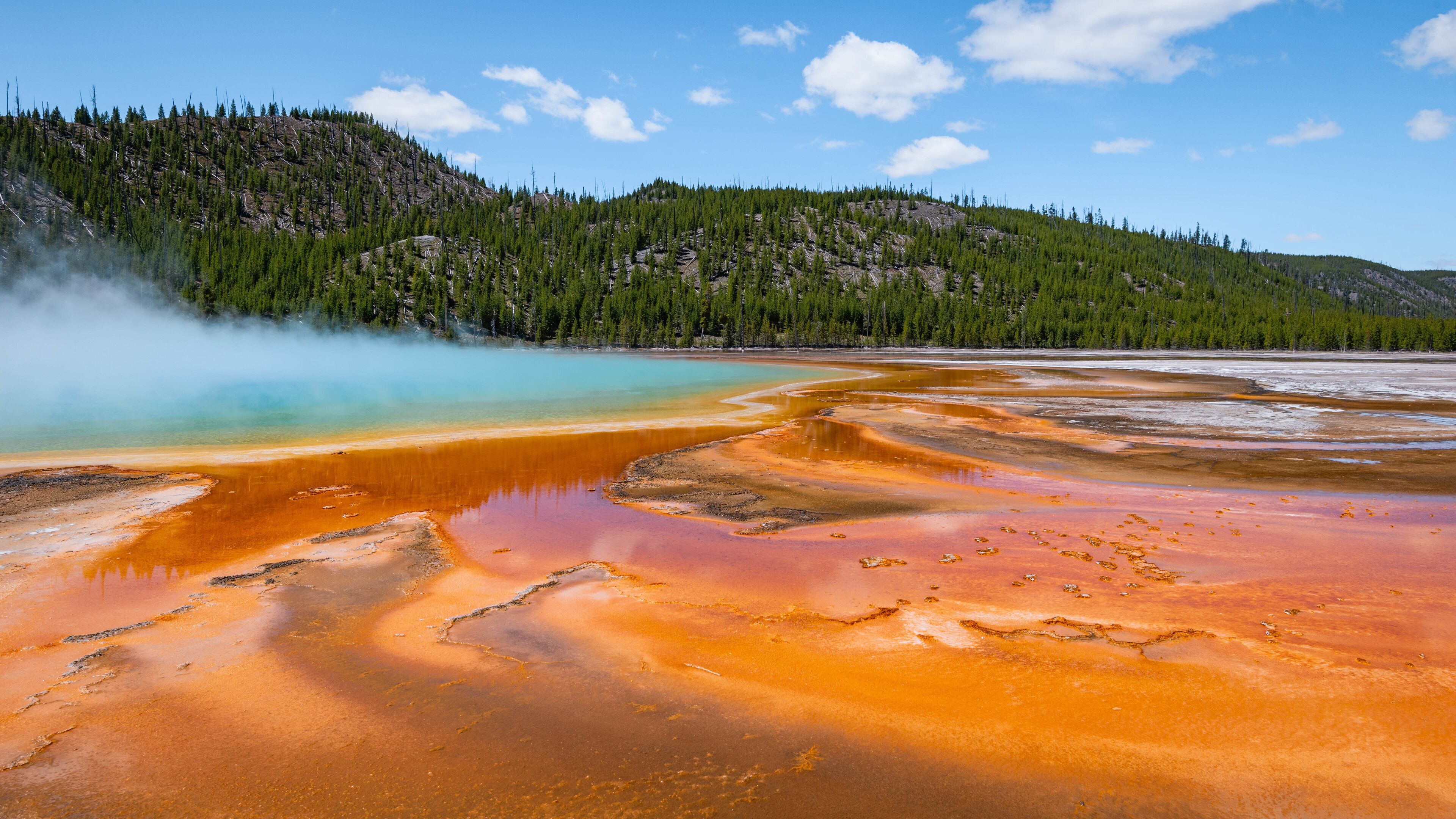 Grand Prismatic Spring showing a hot spring and mist or fog