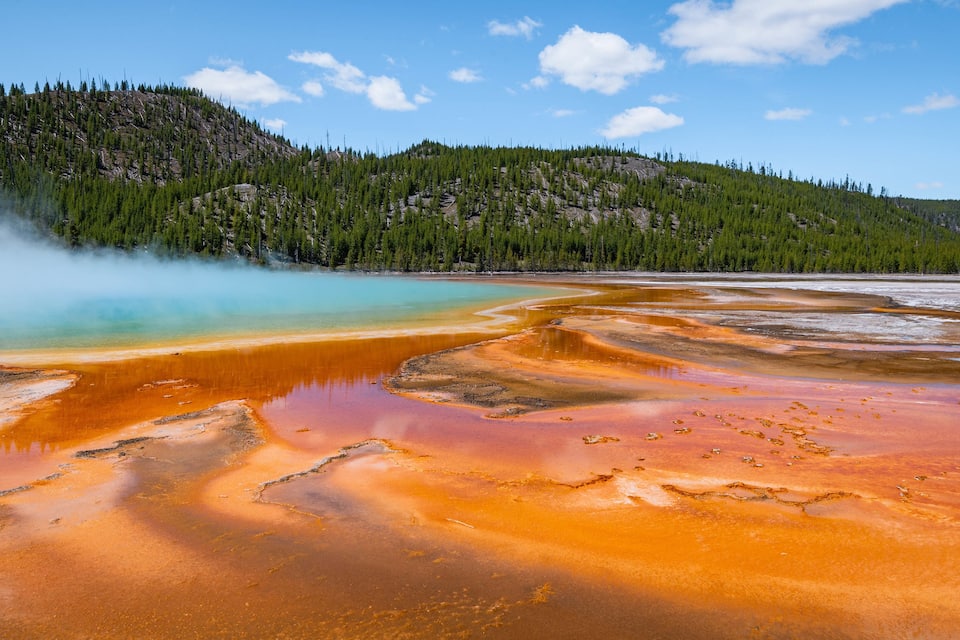 A geothermal area with mineral-rich hot springs and a forested hillside.