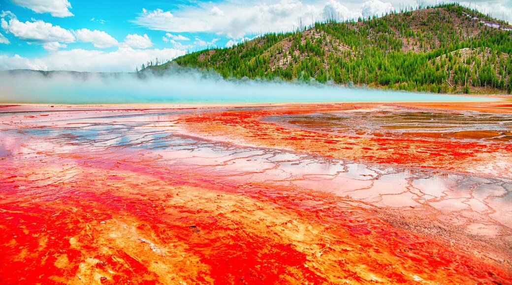 The Grand Prismatic Spring in Yellowstone National Park is the largest hot spring in the world! #yellowstone #nationalpark