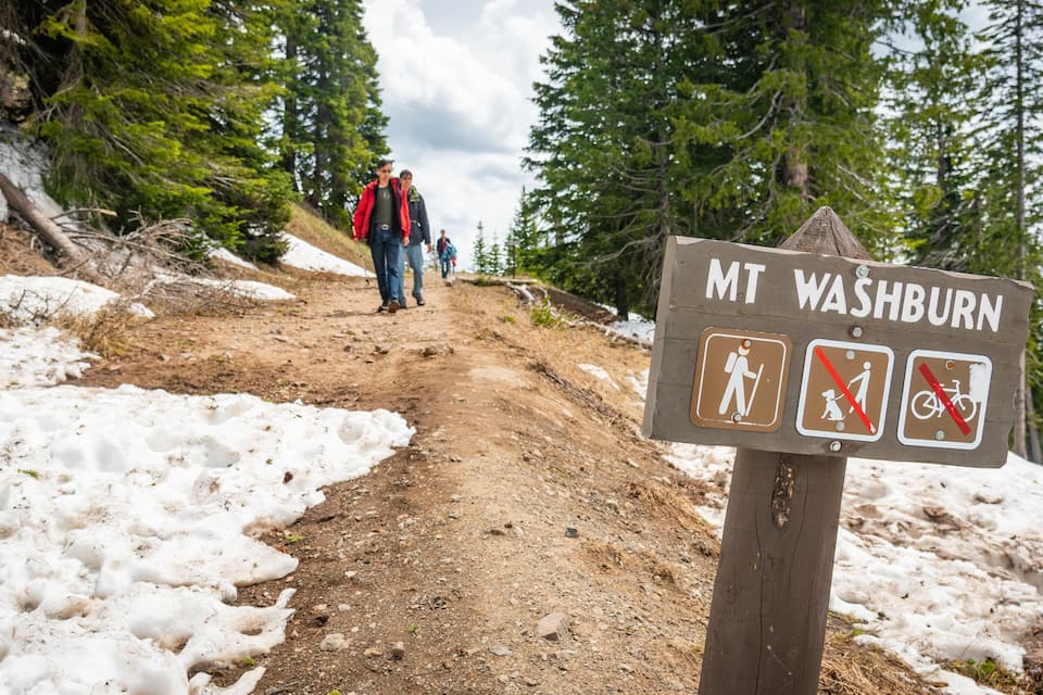 A hiking trail with a sign indicating Mt Washburn.