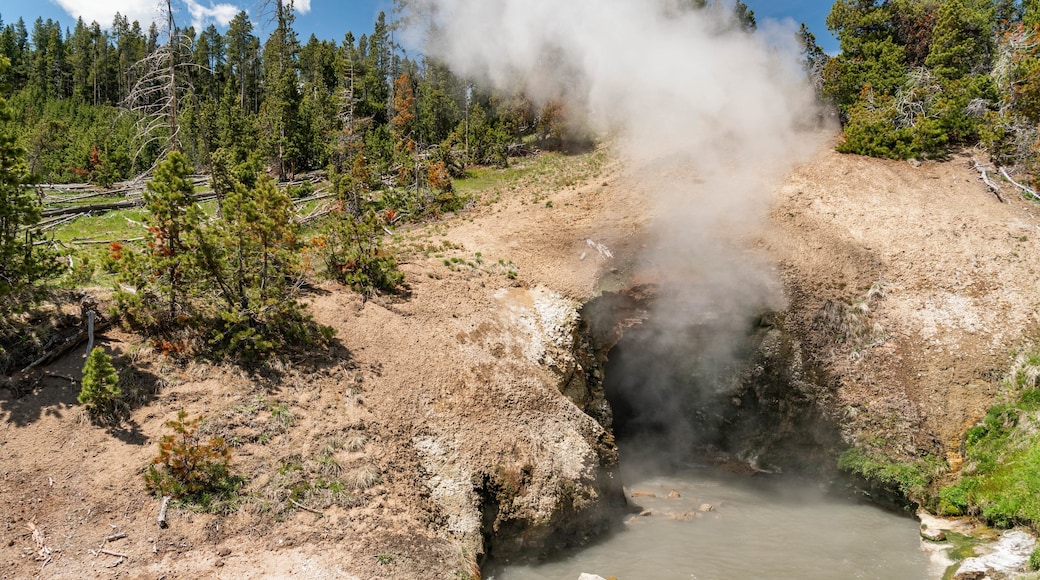 Dragon\'s Mouth Springs which includes mist or fog and a hot spring