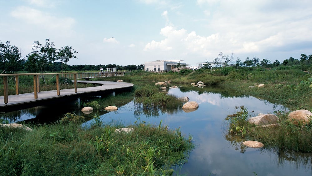 Parc Wetland de Hong Kong qui includes parc et zone humide