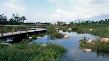 Hong Kong Wetland Park which includes a garden and wetlands