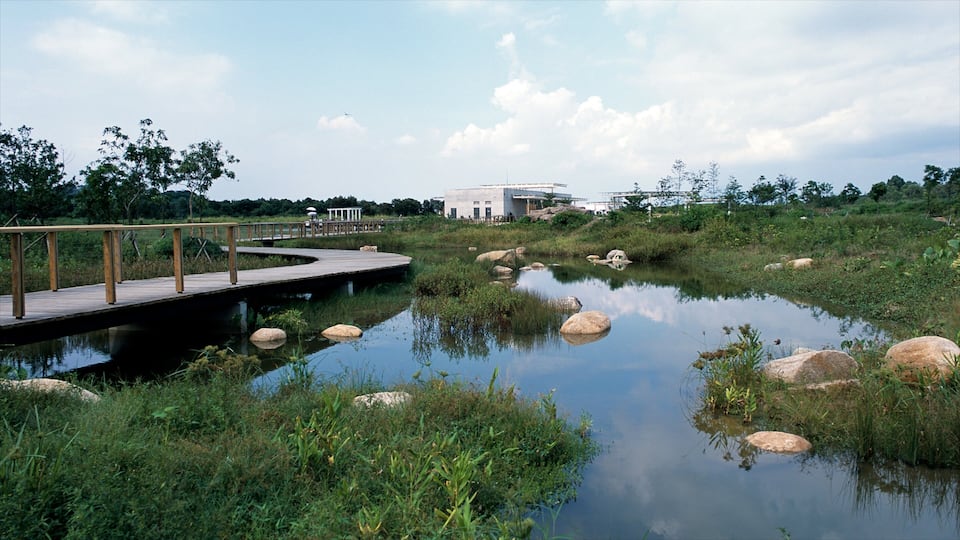 Hong Kong Wetland Park which includes a garden and wetlands