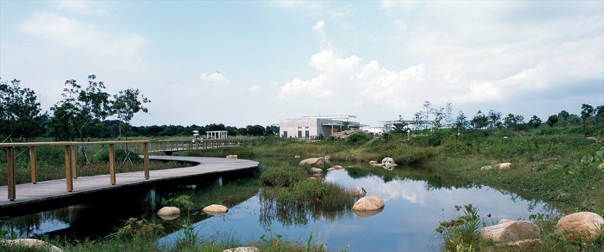 A wooden bridge over a calm pond with rocks, surrounded by lush greenery and a white building in the background.
