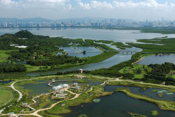 Parc Wetland de Hong Kong montrant zone humide et jardin