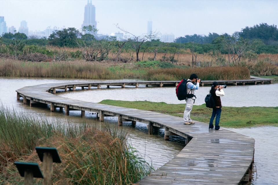 Un paseo marítimo de madera serpentea por una zona pantanosa, con el horizonte de la ciudad al fondo.
