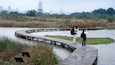 香港濕地公園