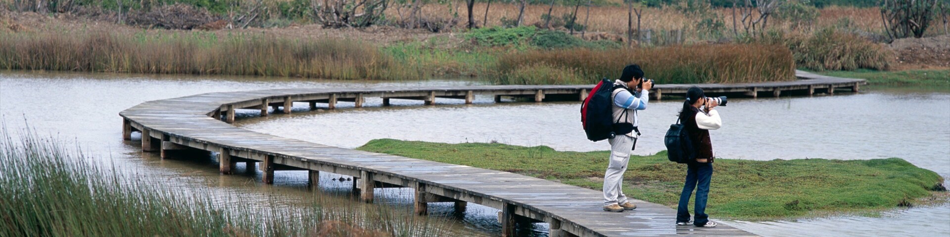 Parque Tropical de Hong Kong mostrando paisagens litorâneas, um parque e pântano