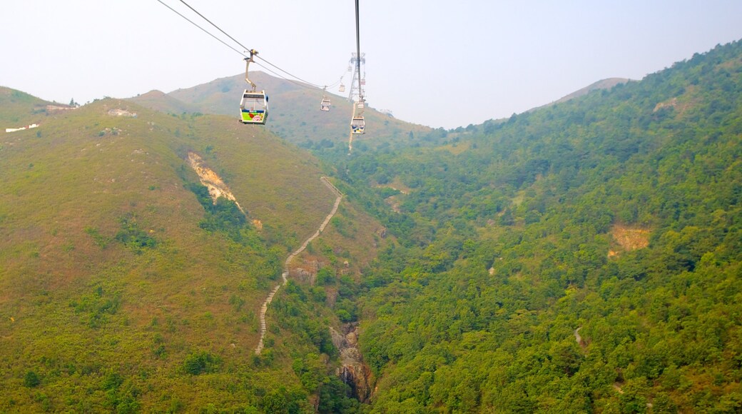 Ngong Ping 360 featuring forests, mountains and a gondola