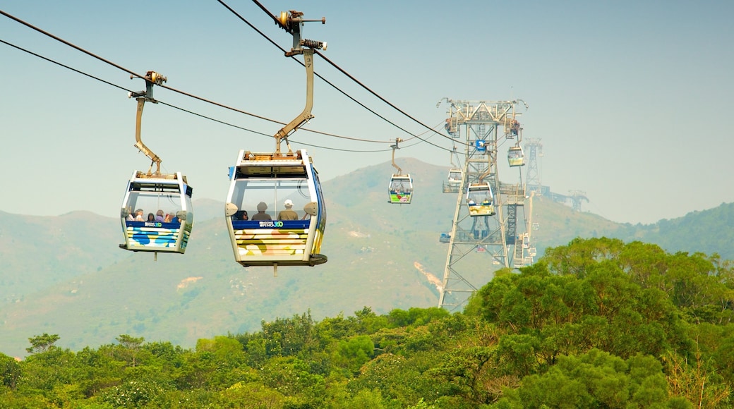 Ngong Ping 360 som inkluderer gondolbane og skoglandskap