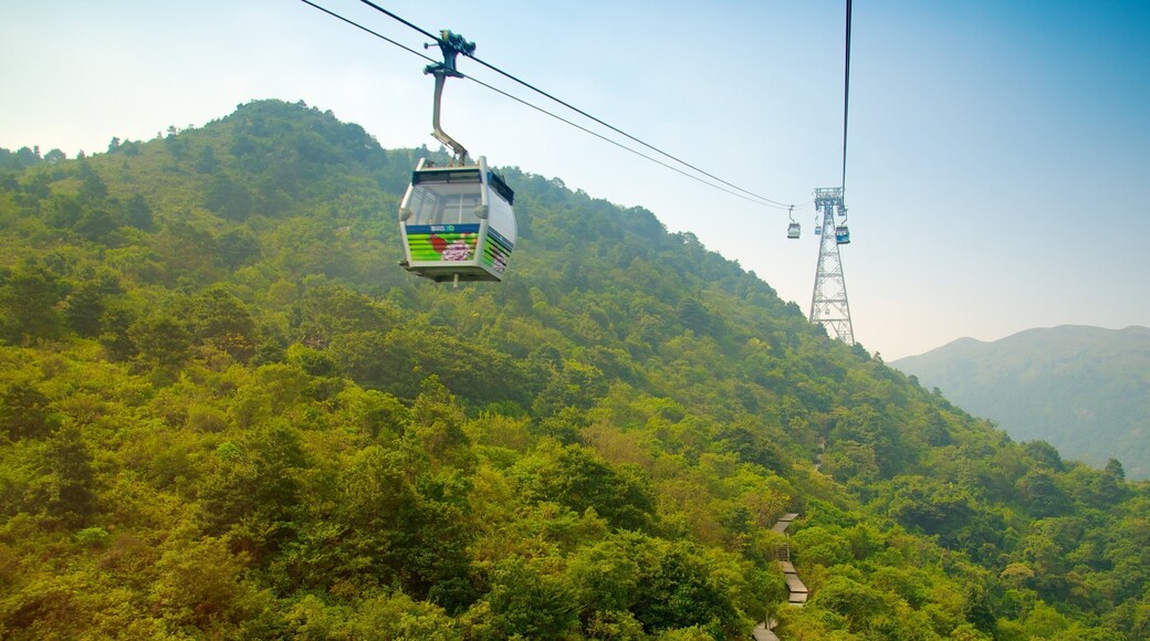 Ngong Ping 360 som inkluderer gondolbane og skog