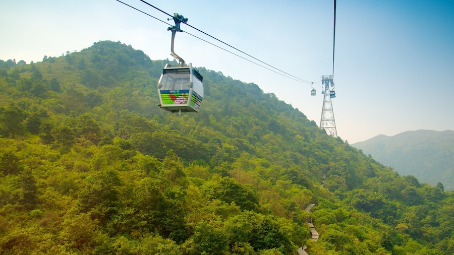 Ngong Ping 360 featuring a gondola and forest scenes