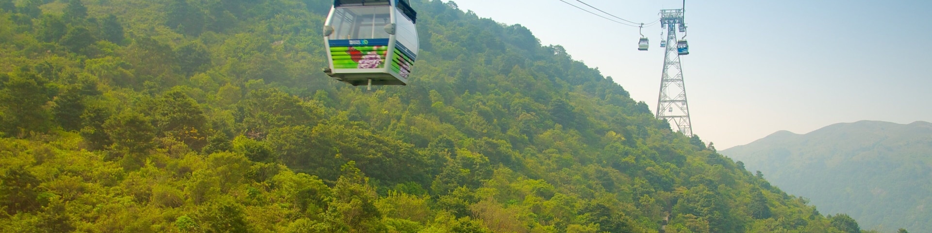 Ngong Ping 360 ofreciendo paisajes forestales y una góndola