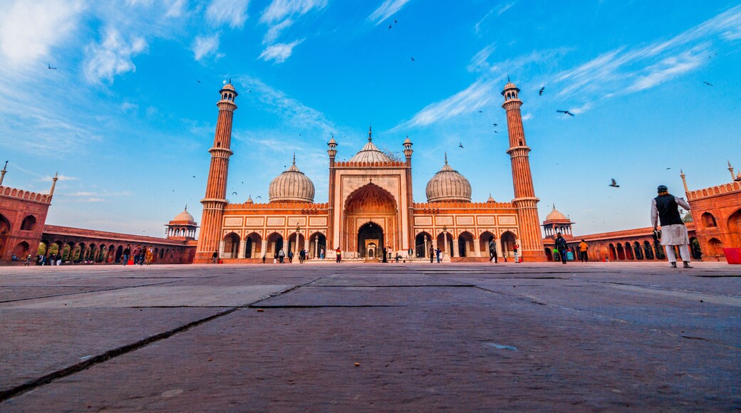 Jama Masjid one of the largest mosques in India, Old Delhi, India