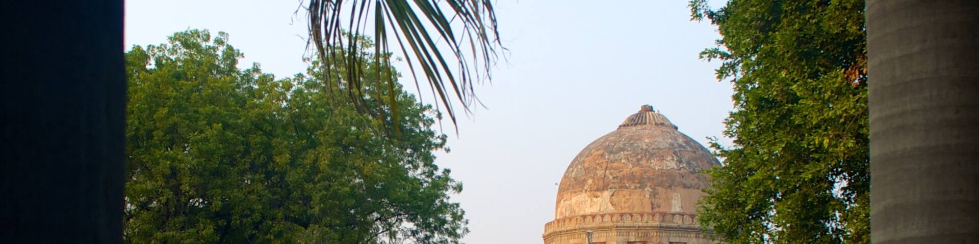 Lodhi Garden showing heritage elements and a park